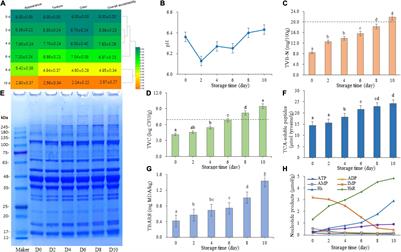 Unraveling the Effects of Biochemical Drivers on the Bacterial Communities and Volatile Profiles in Refrigerated Sturgeon Filets at 4°C